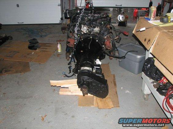 picture-303.jpg 