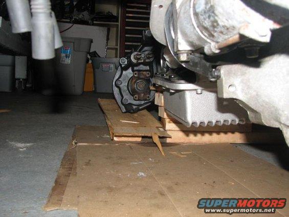 picture-307.jpg 