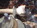 1989 Ford F-350 - A close-up view of a damaged driveshaft component, suggesting a need for repair or replacement.