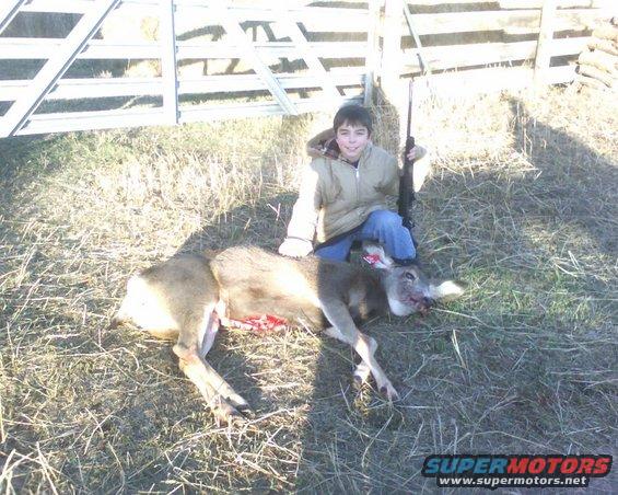 caseydeer2.jpg 