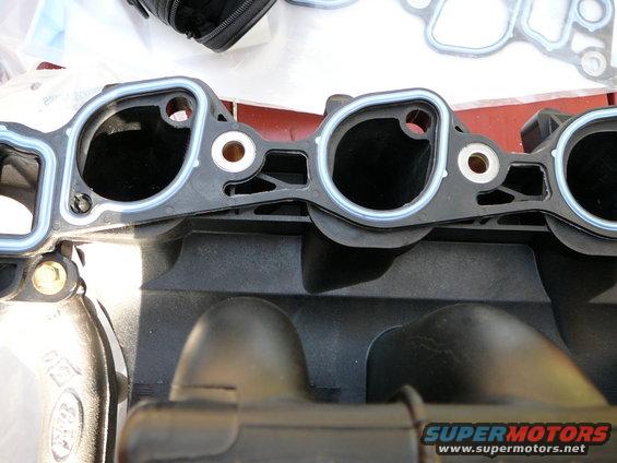 npi-gasket_7.jpg 