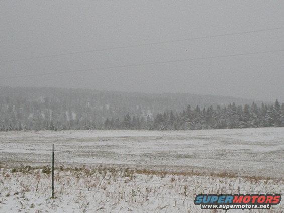 snowy field with trees in background, fence post in foreground
