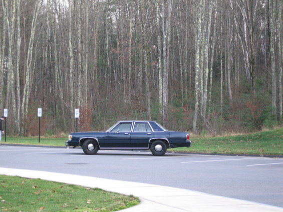 pic-136.jpg 
