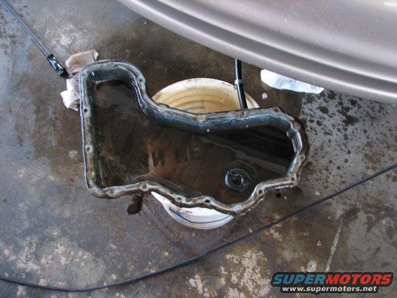 Removed transmission pan filled with dark fluid, resting on a bucket