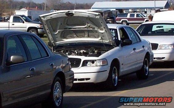 Two Ford Crown Victorias parked, one with hood open showing engine. Another white car and a pickup truck in background