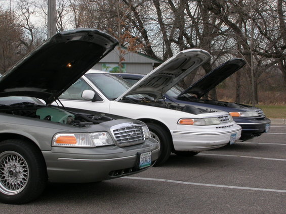 Three 2001 Ford Crown Victorias parked with hoods open
