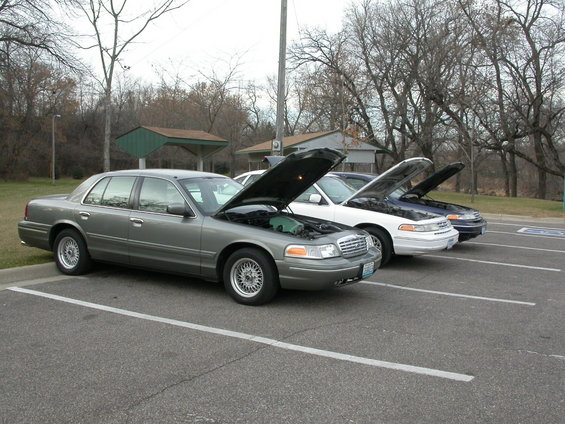 Three Ford Crown Victorias parked side-by-side, all with hoods open. The closest is gray, the middle is white, and the furthest is dark blue