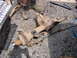 1996 Ford F-250 - Truck front axle and steering parts laid out on the ground for repair or replacement.