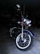 2003 Harley-Davidson Softail