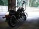 2003 Harley-Davidson Softail