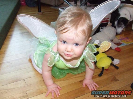 dscf2250.jpg Tinkerbell
