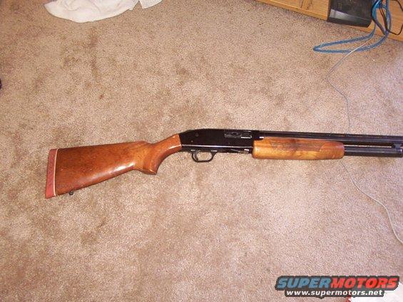 Wooden stock and forend shotgun lying on carpet