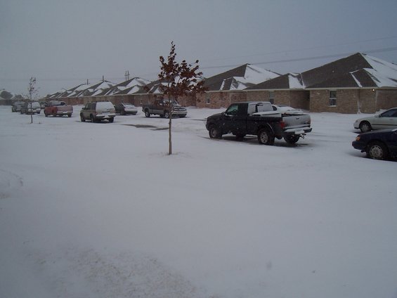 Several pickup trucks and cars parked on a street covered in snow, with houses in the background