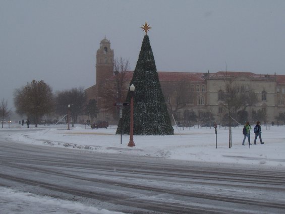 Snowy scene with a large Christmas tree and a building in the background