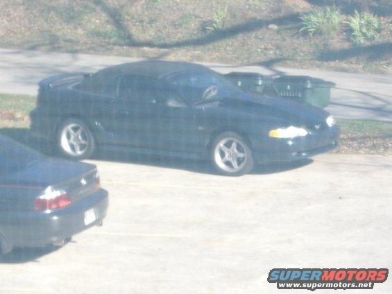 mustang-pics-001.jpg 