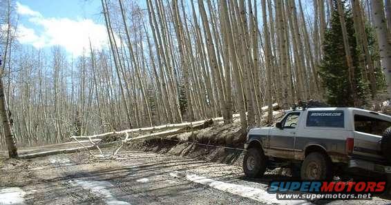 moving_tree.jpg Winching trees out of the road.