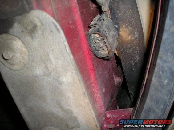 close-up of a vehicle's electrical connector and red body panel