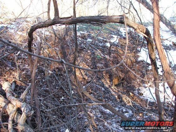 Overgrown embankment with branches, snow, and a hint of orange piping visible