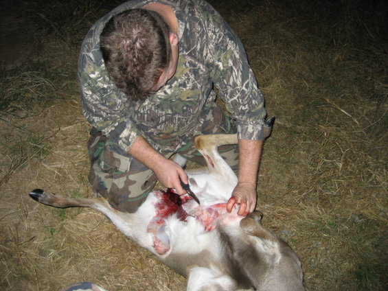 image021.jpg