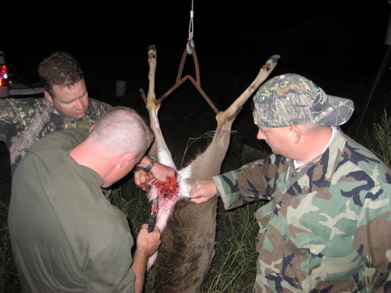 Hunters field dressing a deer hanging from a gambrel