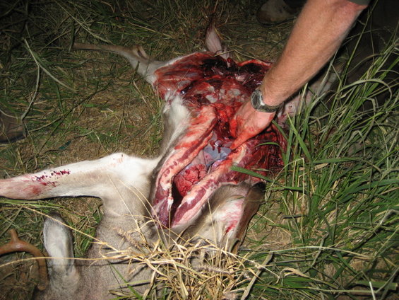 image035.jpg