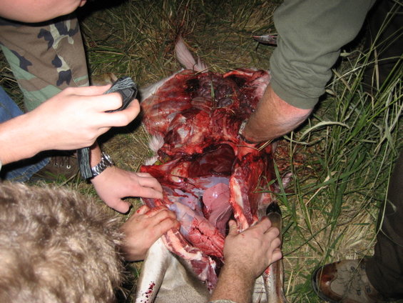 image037.jpg