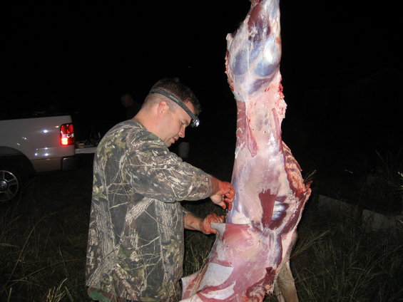 man in camouflage shirt and headlamp field dressing a deer carcass at night, pickup truck in background