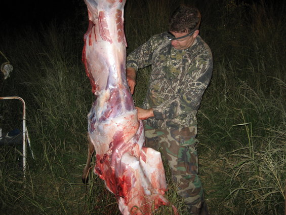 Man in camouflage field dressing a deer carcass at night