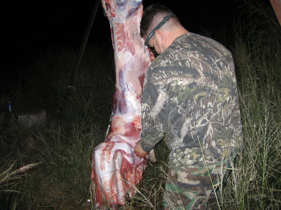 Deer carcass hanging from a metal pole, being processed by a man in camouflage clothing at night