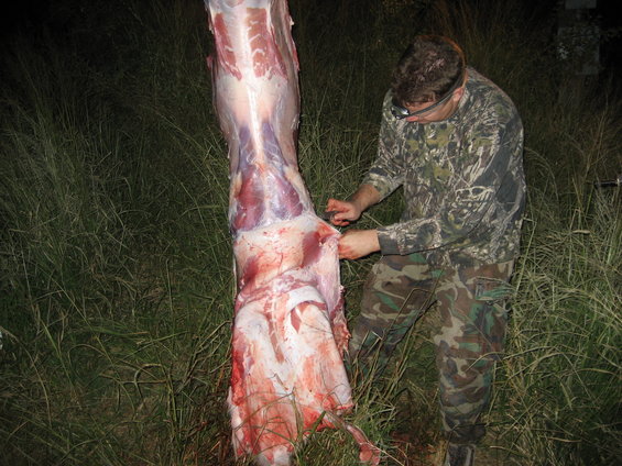 Man in camouflage field dressing a deer carcass hanging from a pole