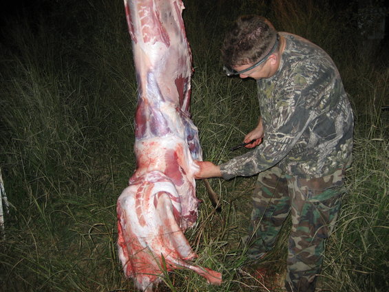 Man in camouflage clothing butchering a large animal carcass hanging from a rope outdoors at night