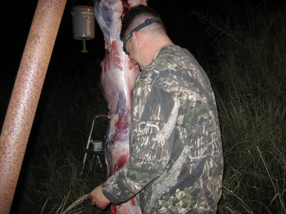 Man in camouflage shirt butchering a deer carcass hanging from a metal pole at night