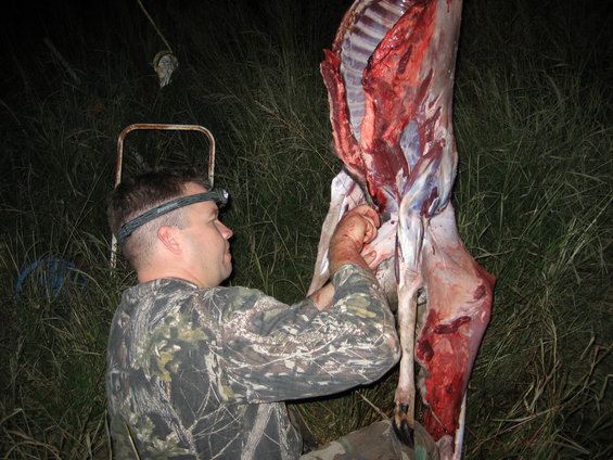 Man in camo with headlamp field dressing a deer carcass hanging from a rope