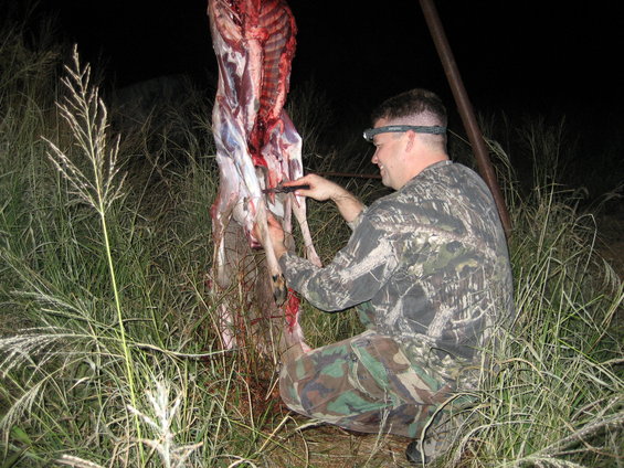 Man in camouflage butchering a deer carcass at night