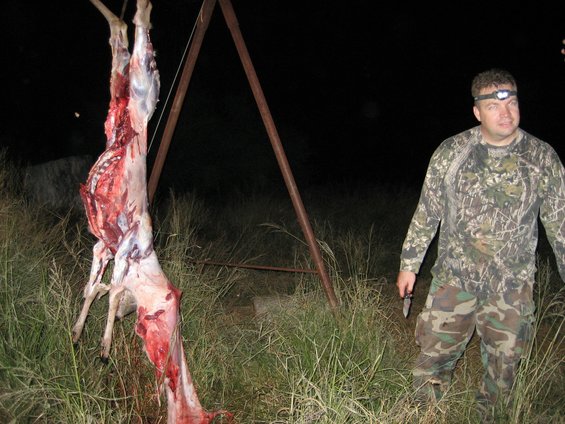 deer carcass hanging from metal frame, man in camouflage with headlamp stands nearby