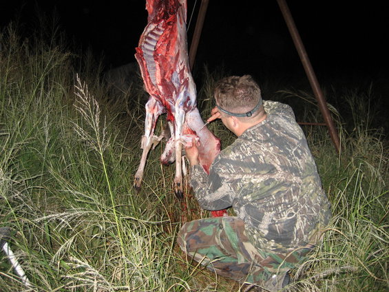 Man in camouflage field dressing a deer carcass hanging from a metal frame at night
