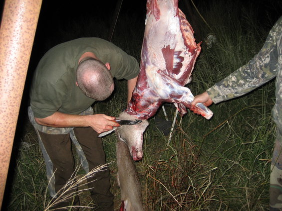 Two people butchering a deer carcass outdoors at night