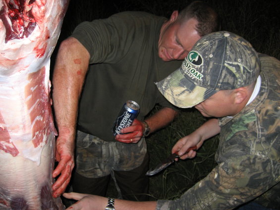 Two men butchering a large animal, one holding a Keystone Light beer