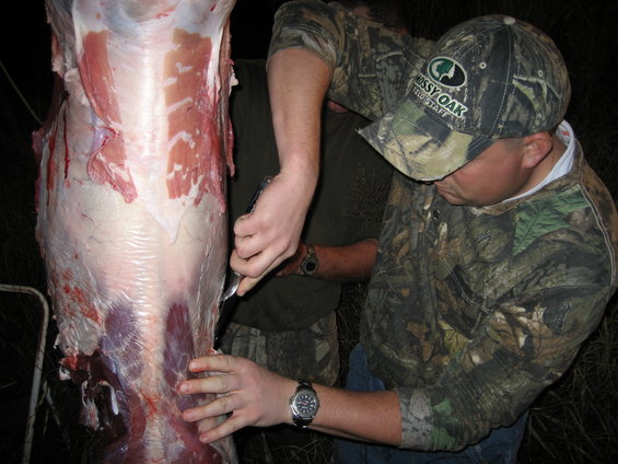 man in camouflage cutting meat from a hanging animal carcass