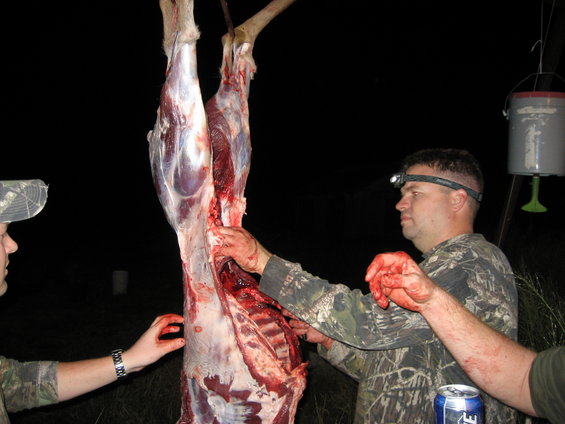 Deer carcass hanging, being butchered by men in camouflage at night. One man wears a headlamp
