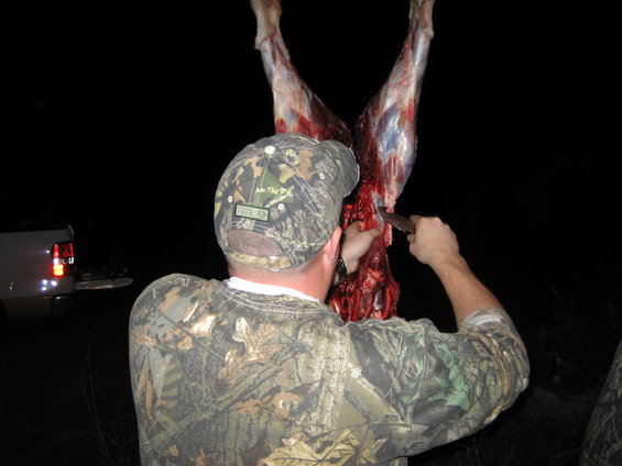 Man in camo shirt and hat field dressing a deer carcass hanging upside down. A pickup truck is visible in the background