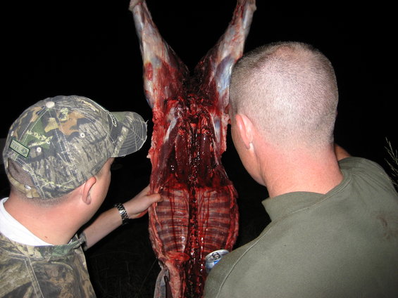 Two men examine a freshly field-dressed deer carcass at night