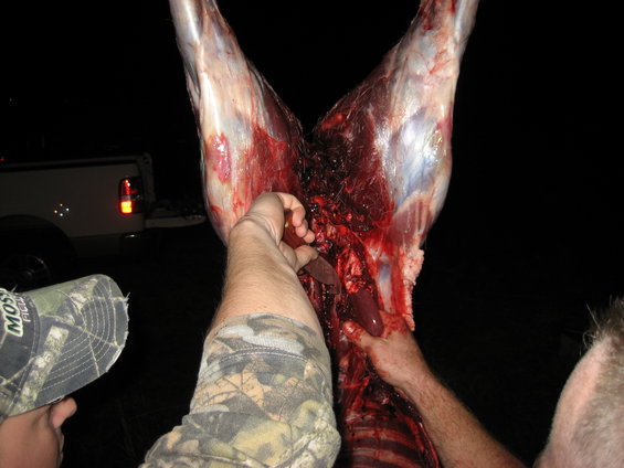 image117.jpg