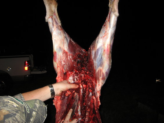 Deer carcass being processed, with a pickup truck in the background