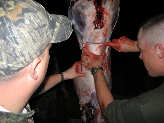 Two men in camouflage clothing butcher a large animal carcass in the dark