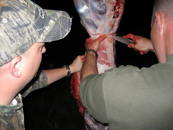 Two men field dressing a deer at night