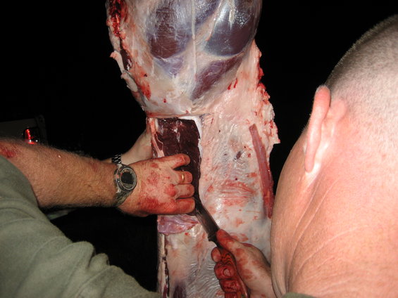 image133.jpg