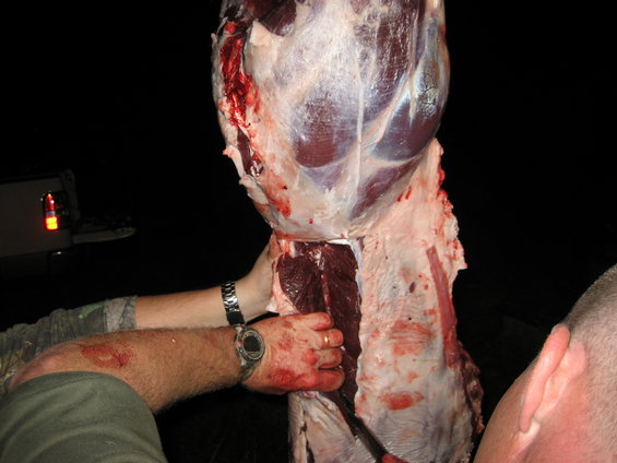 image134.jpg