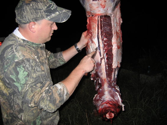 Man in camouflage cutting into a hanging animal carcass