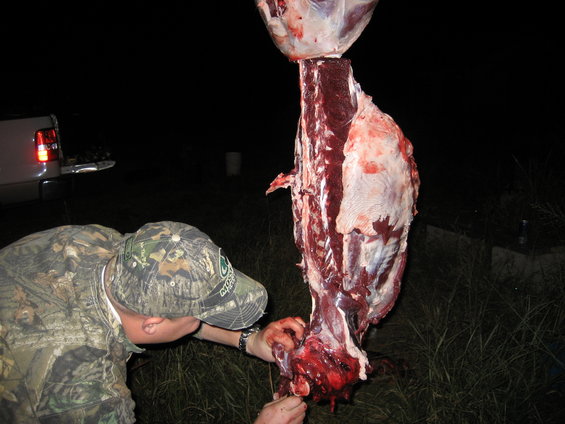 Man in camouflage butchering a large animal carcass hanging outdoors at night. Truck visible in background